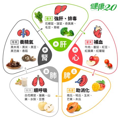 屬土食物|五行五色挑食法，吃出抗病力｜健康2.